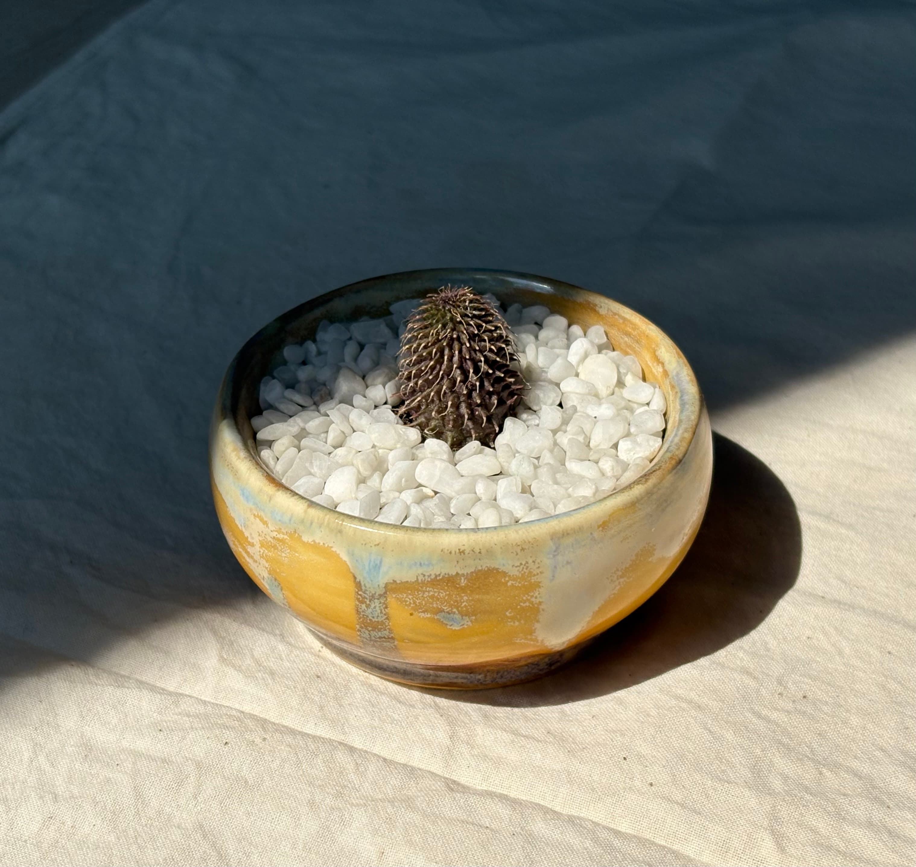 pot 1