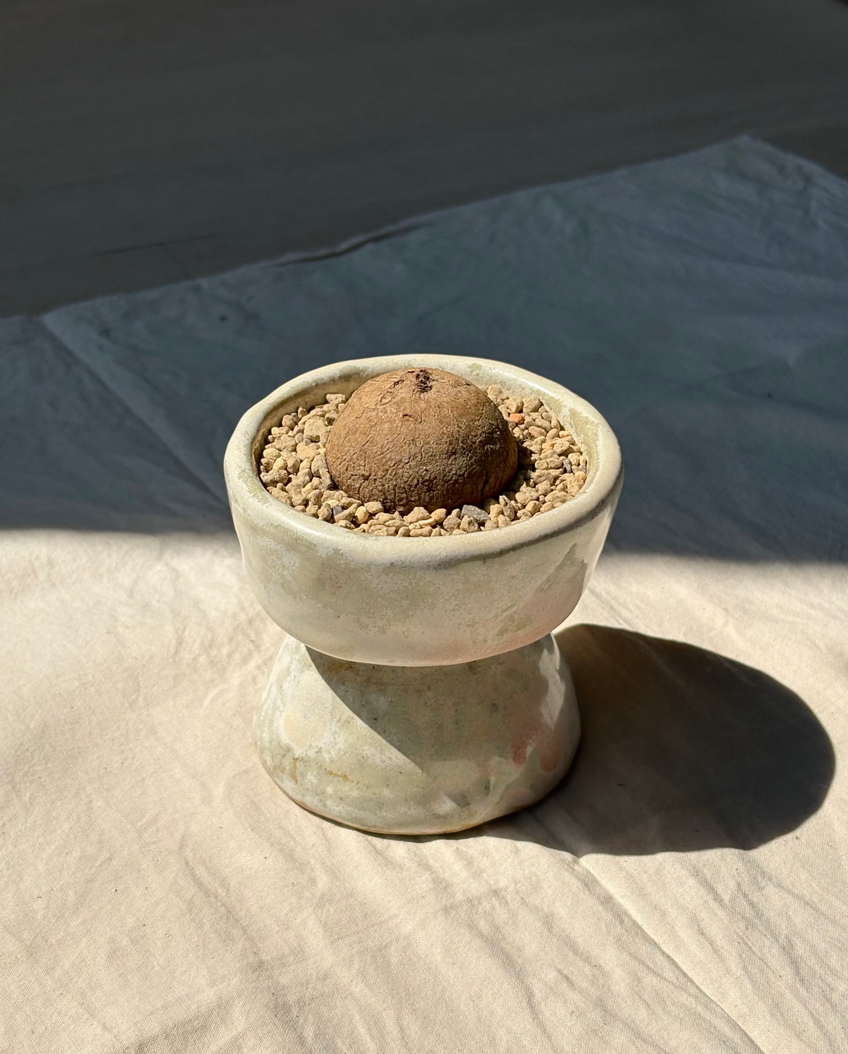 pot 3