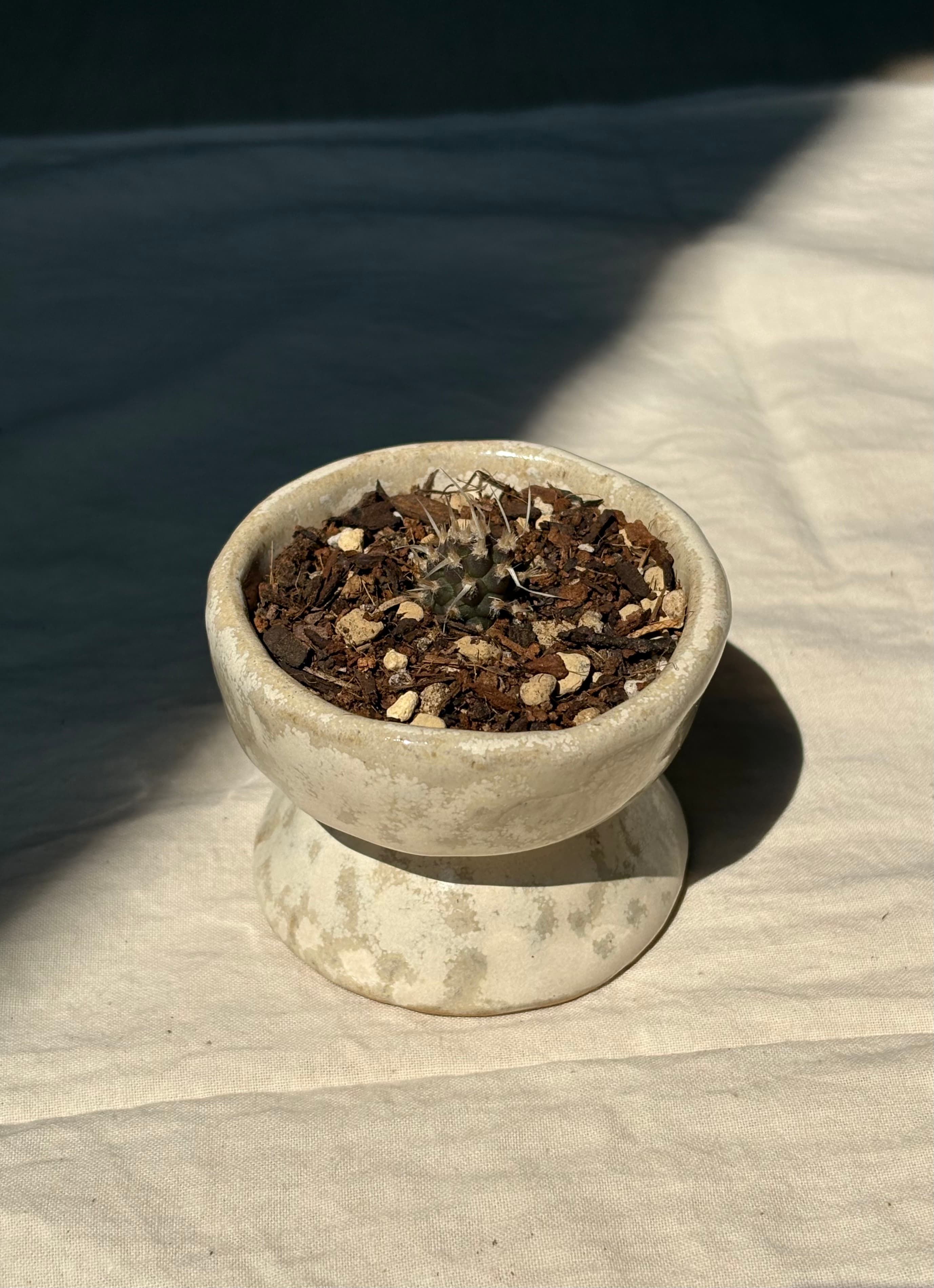 pot 4